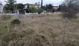 Land 630 m² in Chalkidiki