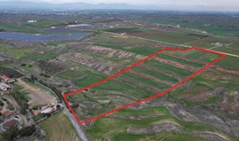 Land 45659 m² in Paphos