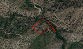 Land 14716 m² in Limassol