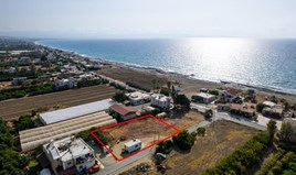 Land 3131 m² in Paphos