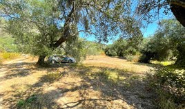 Land 4030 m² in Corfu