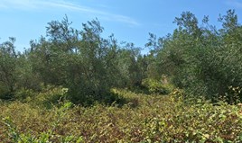 Land 4683 m² in Corfu