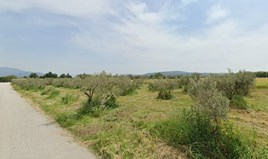 Land 5850 m² in den Vororten von Thessaloniki