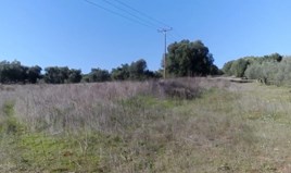 Land 2803 m² auf Sithonia (Chalkidiki)