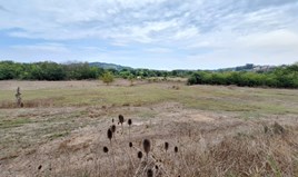 Land 8000 m² in Corfu