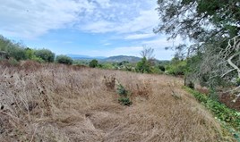 Land 5500 m² in Corfu