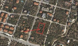 Land 820 m² auf Thassos