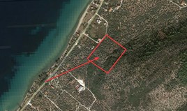 Land 4710 m² on the island of Thassos