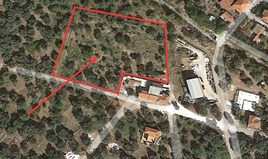 Land 3734 m² on the island of Thassos