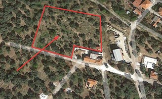 Land 3734 m² on the island of Thassos