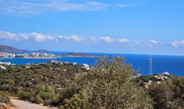 Land 5844 m² in Crete