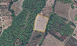 Land 10000 m² auf Sithonia (Chalkidiki)