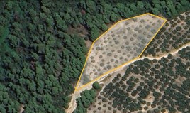 Land 5975 m² in Sithonia, Chalkidiki