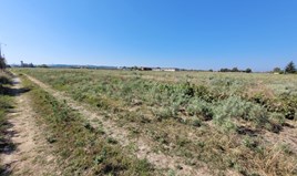 Land 9000 m² in the suburbs of Thessaloniki