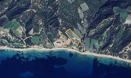 Arsa 8000 m² Athos’da (Chalkidiki)