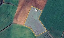 Земельна ділянка 5000 m² на Афоні (Халкідіки)