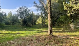 Land 3321 m² in Corfu