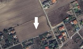 Land 7440 m² in Chalkidiki