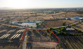 Land 2139 m² in Nicosia