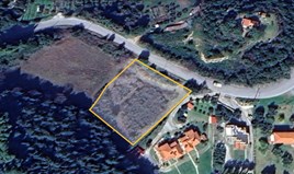 Land 3521 m² auf Athos (Chalkidiki)