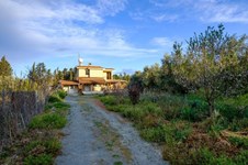 Property 61512 photo 17