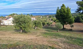 Land 2822 m² in Kassandra, Chalkidiki