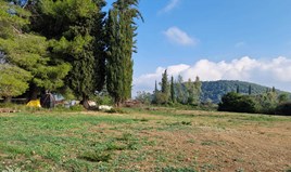 Arsa 3500 m² Korfu’da