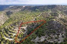 Property 61711 photo 4