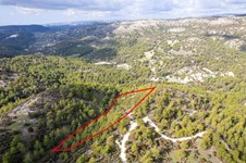 Property 61711 photo 3