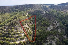 Property 61711 photo 5