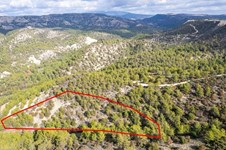 Property 61711 photo 1