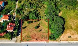 Land 1850 m² in Chalkidiki