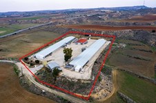 Property 61781 photo 3