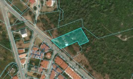 Land 2550 m² in Chalkidiki