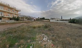 Land 1000 m² in Attica