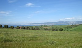 Land 4100 m² in the suburbs of Thessaloniki