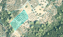 Land 4903 m² in Sithonia, Chalkidiki