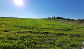 Земельна ділянка 5500 m² в передмісті Салонік