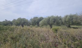 Zemljište 5100 m² na Kasandri (Halkidiki)