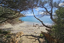 Property 62753 photo 25