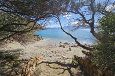 Property 62755 photo 24