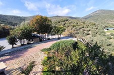 Property 62773 photo 22