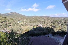 Property 62773 photo 23