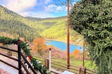 Property 63211 photo 3