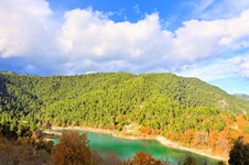 Property 63211 photo 31