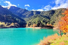 Property 63211 photo 32