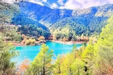 Property 63211 photo 34