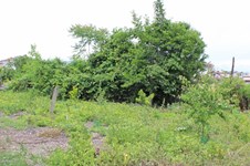 Property 63376 photo 2