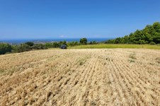 Property 63849 photo 3