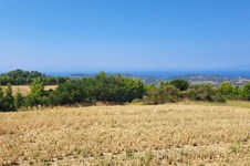 Property 63849 photo 2